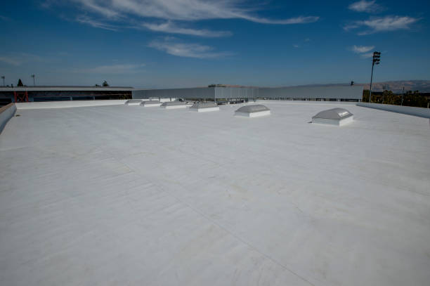 Best Roof Moss and Algae Removal  in West Park, CA