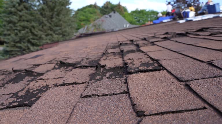 Best Wood Shake Roofing  in West Park, CA
