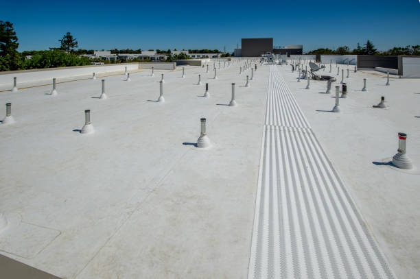 Best Rubber Roofing (EPDM, TPO)  in West Park, CA